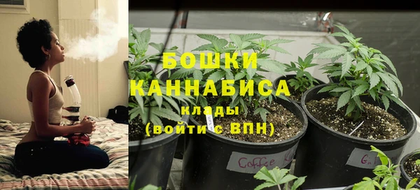 твердый Нягань
