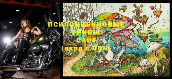 МДПВ Осинники