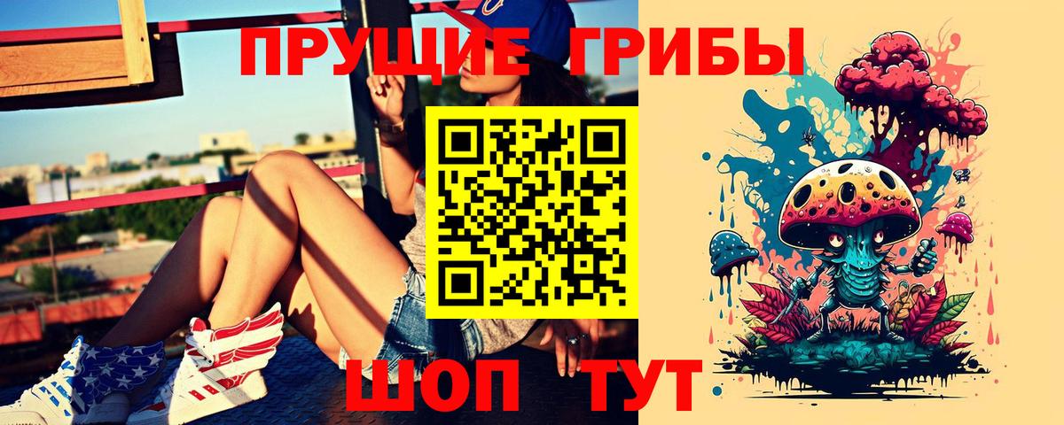 Псилоцибиновые грибы прущие грибы  Вход с VPN  Котлас 